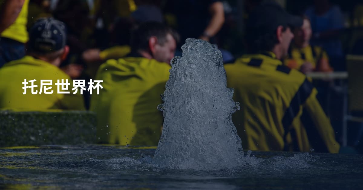托尼世界杯