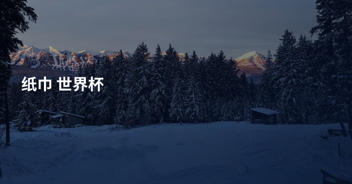 纸巾 世界杯