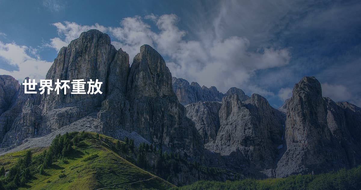 世界杯重放