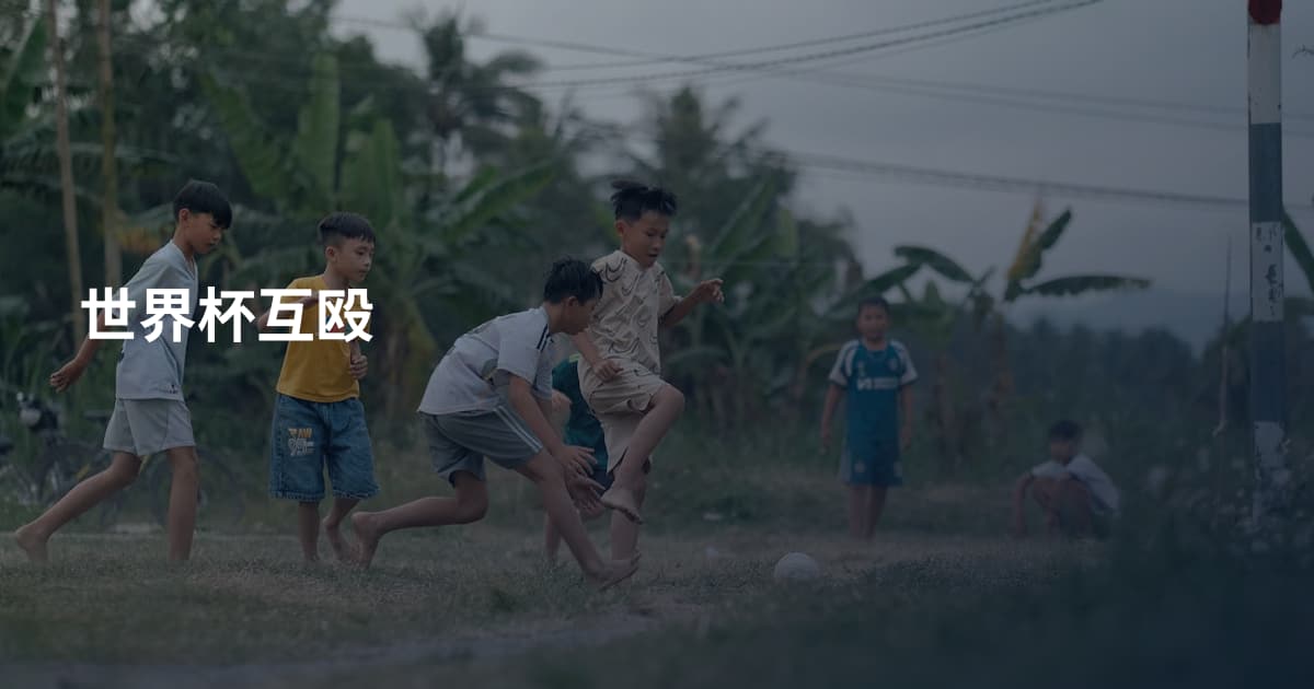 世界杯互殴