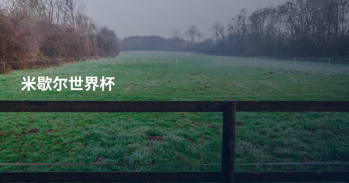 米歇尔世界杯
