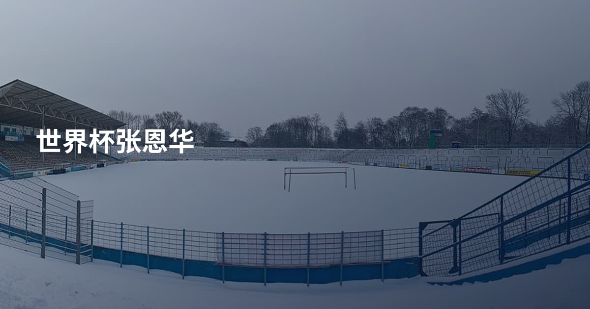 世界杯张恩华