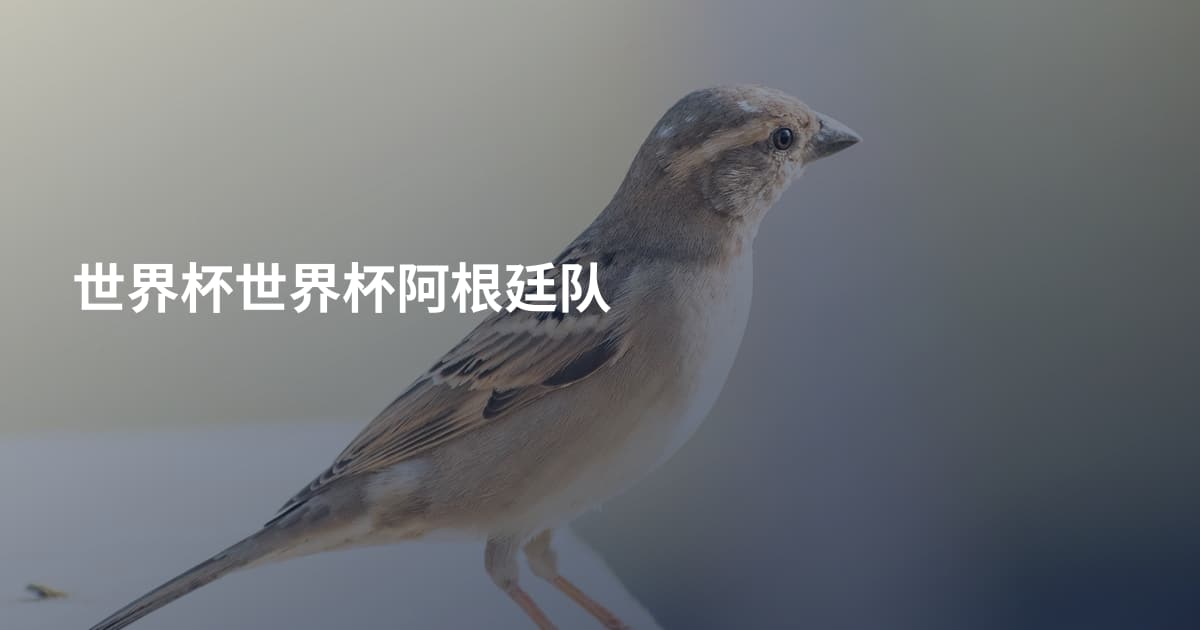 世界杯世界杯阿根廷队