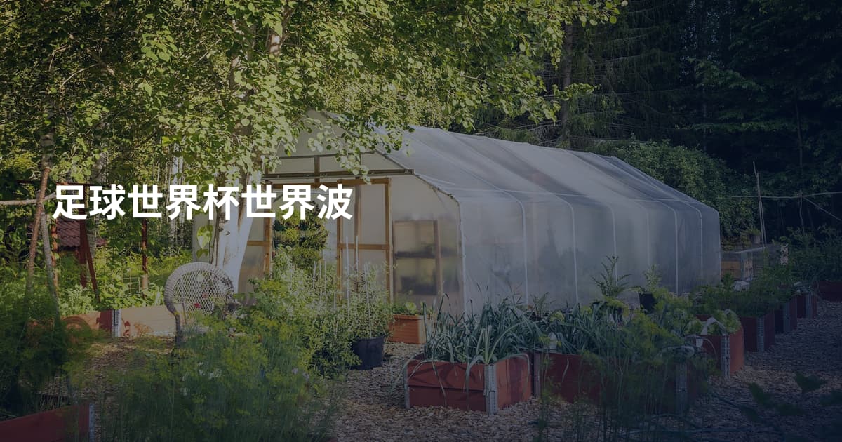 足球世界杯世界波