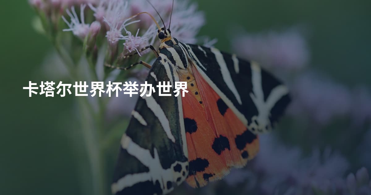 卡塔尔世界杯举办世界