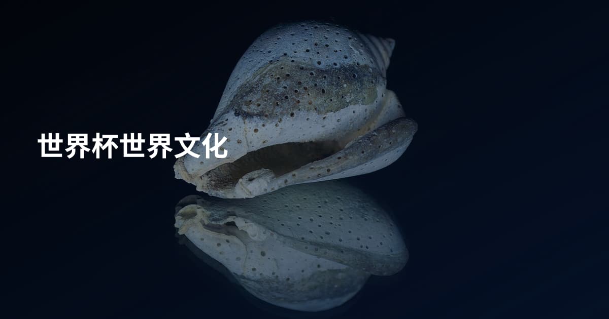 世界杯世界文化