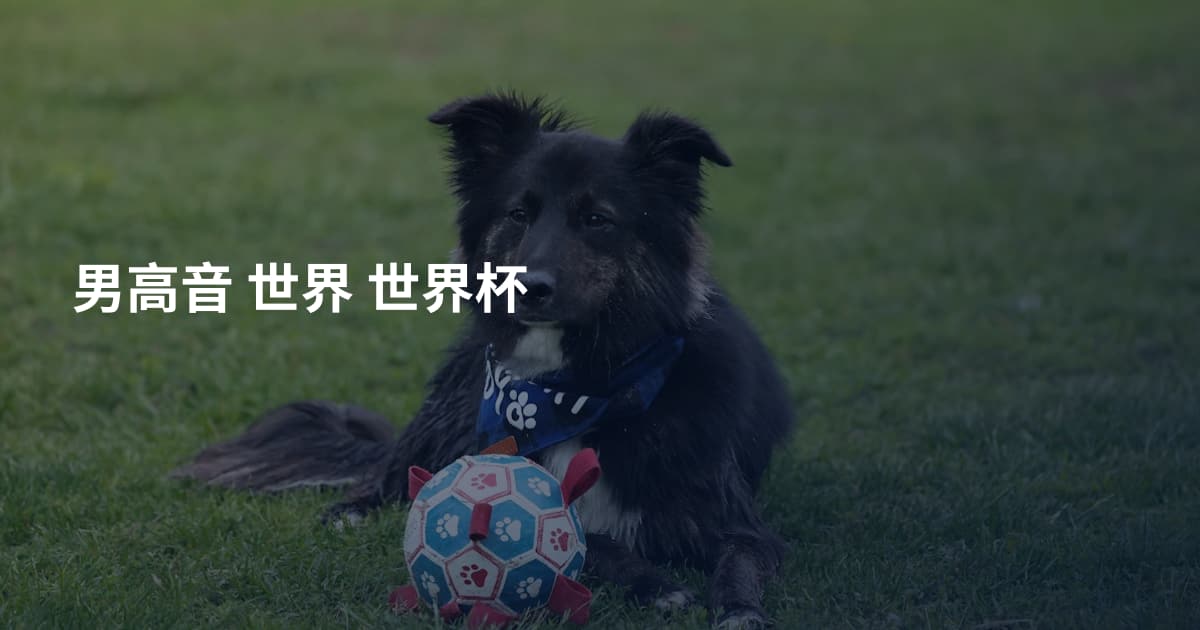 男高音 世界 世界杯