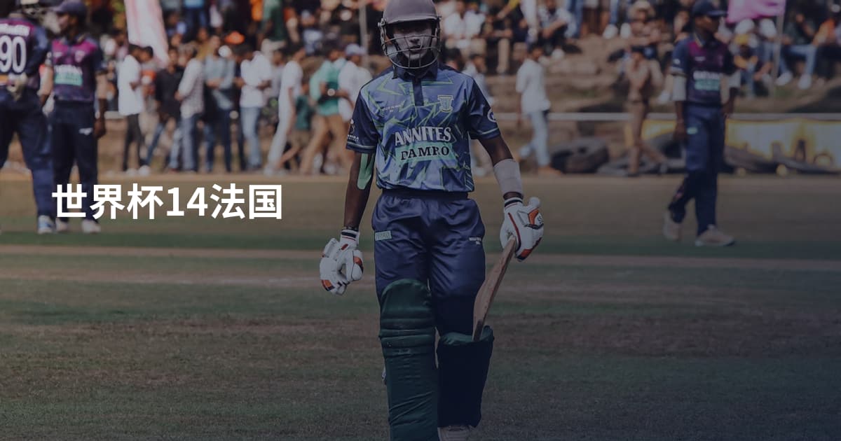世界杯14法国