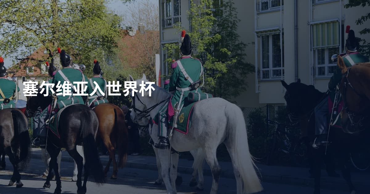 塞尔维亚入世界杯