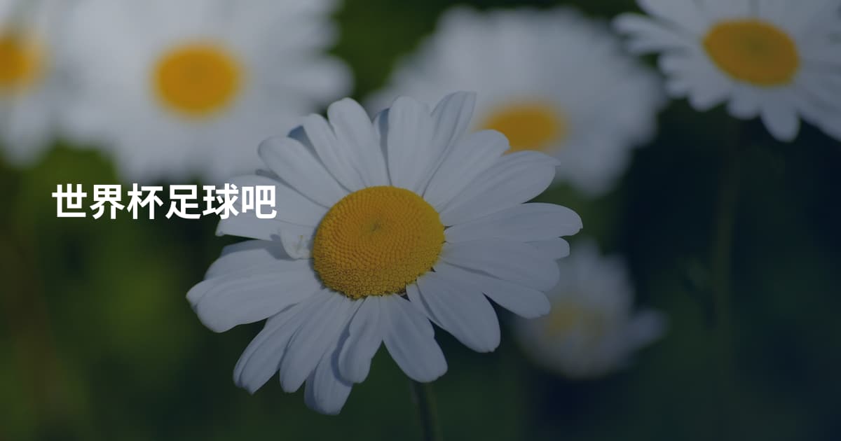 世界杯足球吧