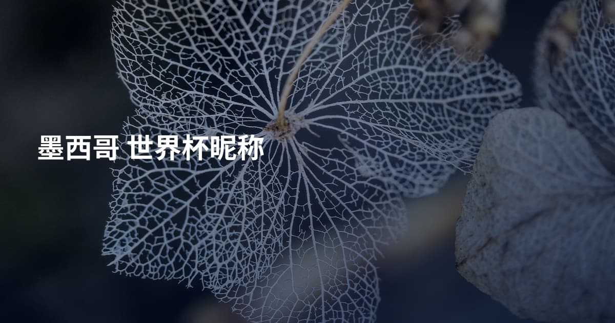 墨西哥 世界杯昵称