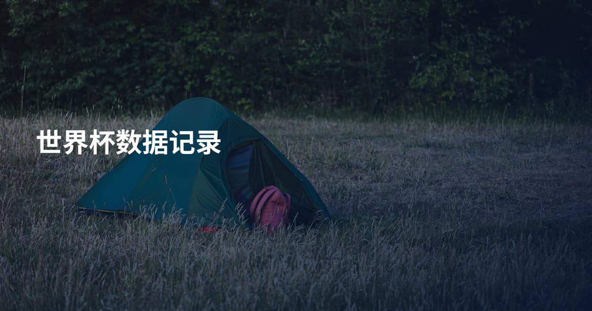 世界杯数据记录