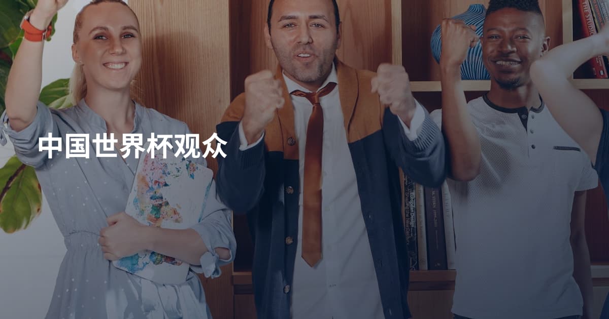 中国世界杯观众