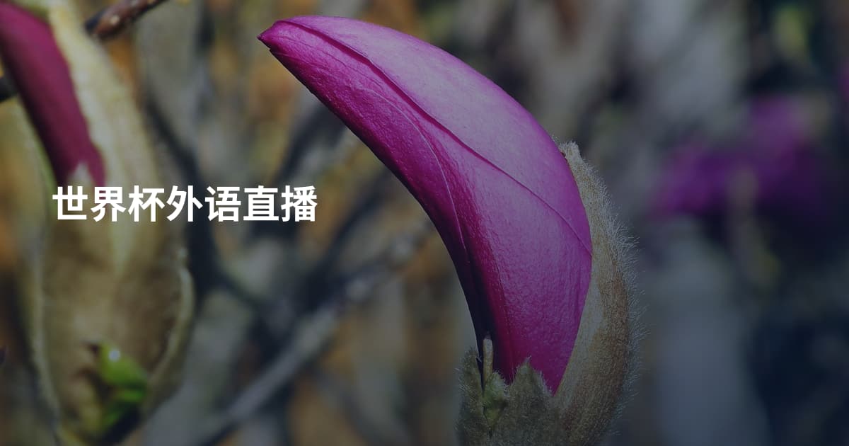 世界杯外语直播