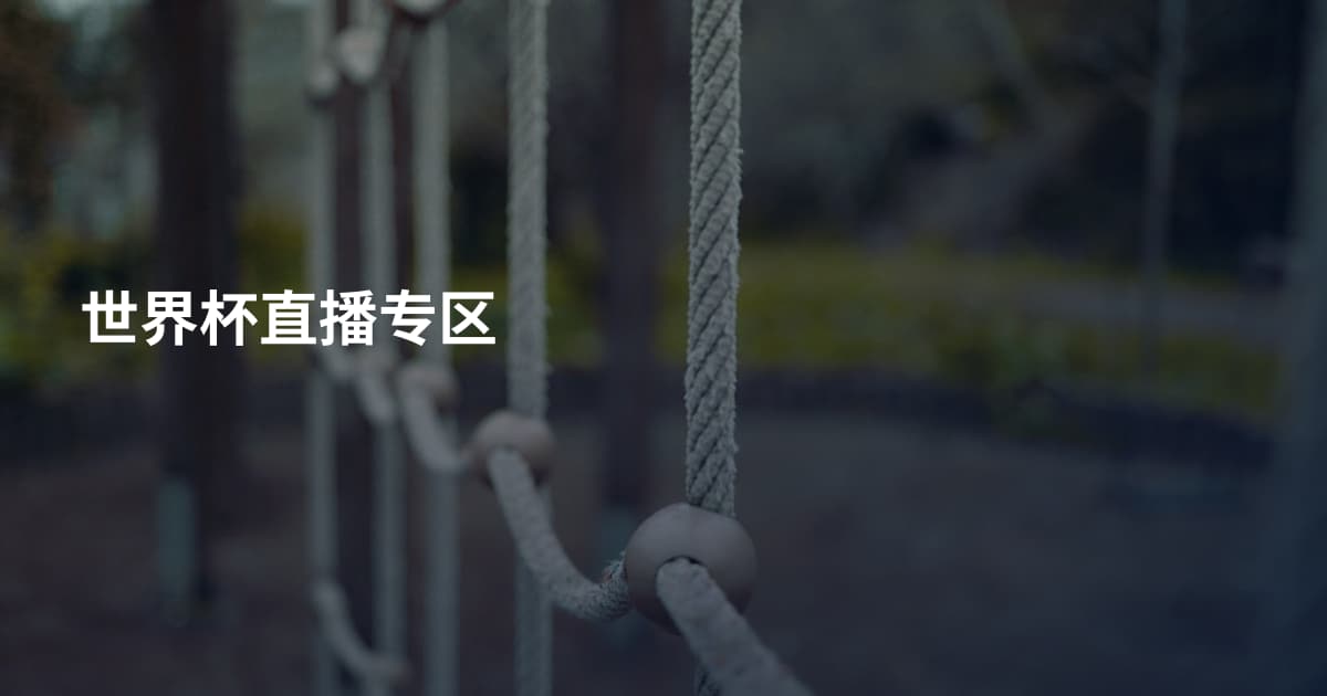 世界杯直播专区