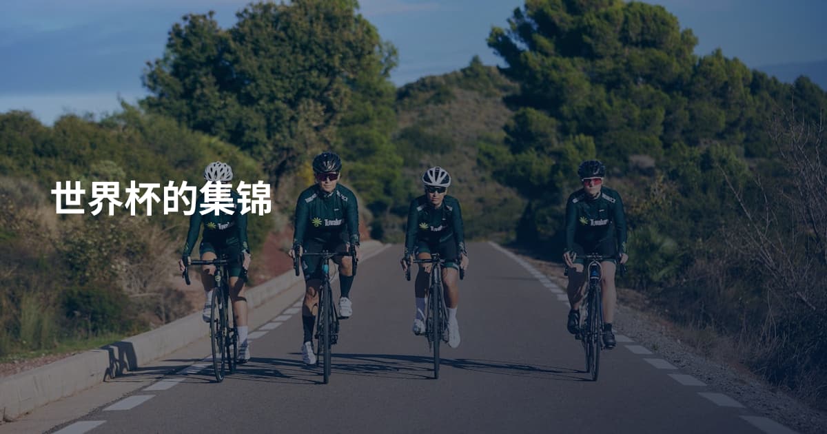 世界杯的集锦