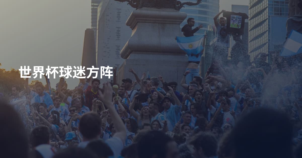 世界杯球迷方阵