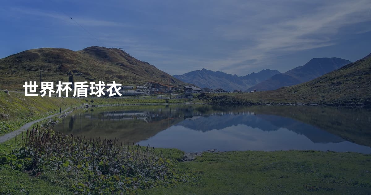 世界杯盾球衣