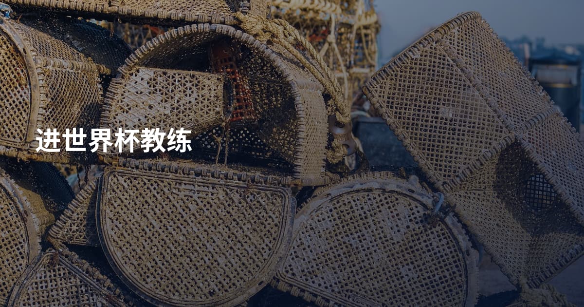 进世界杯教练