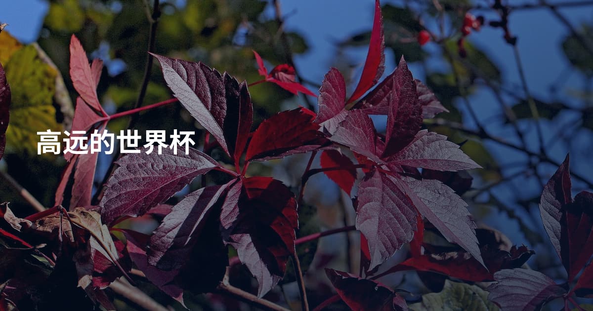 高远的世界杯
