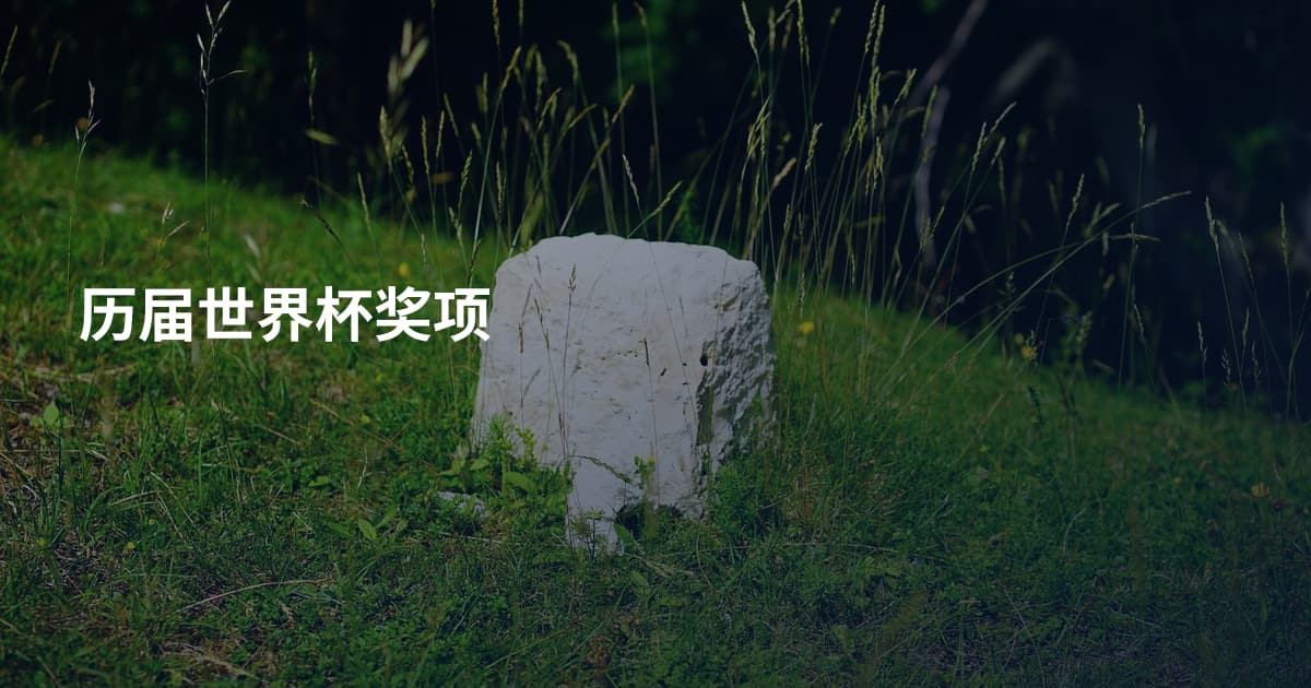 历届世界杯奖项