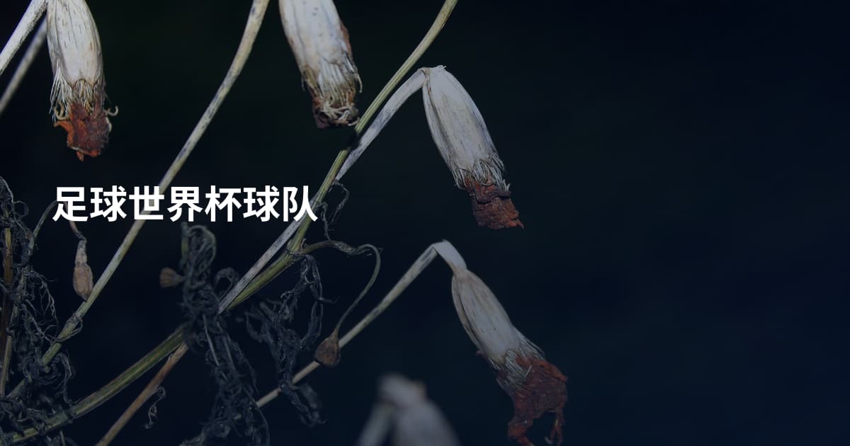 足球世界杯球队