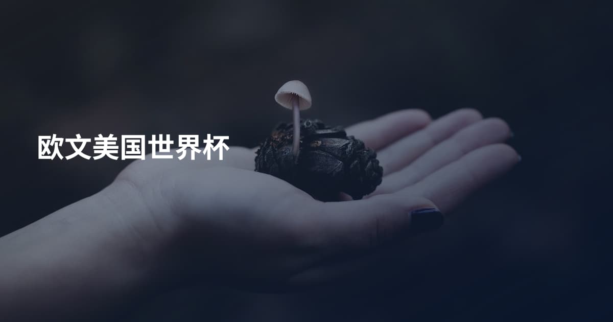 欧文美国世界杯