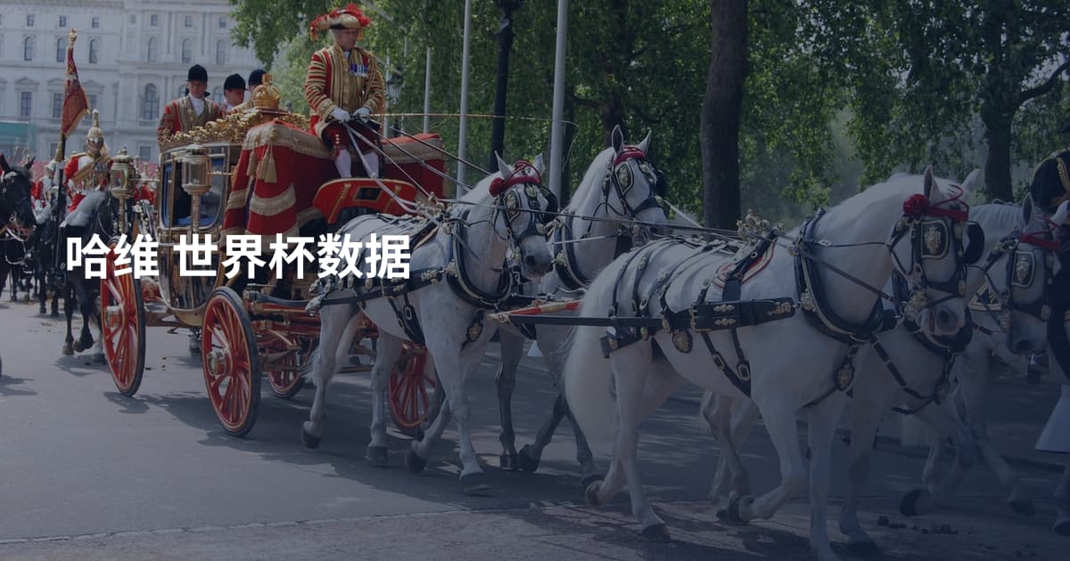 哈维 世界杯数据