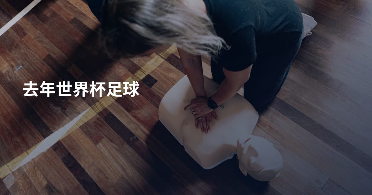 去年世界杯足球
