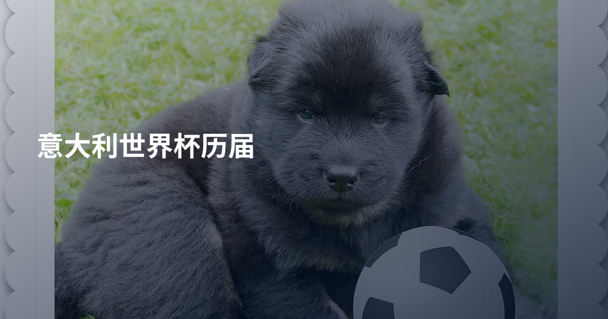 意大利世界杯历届