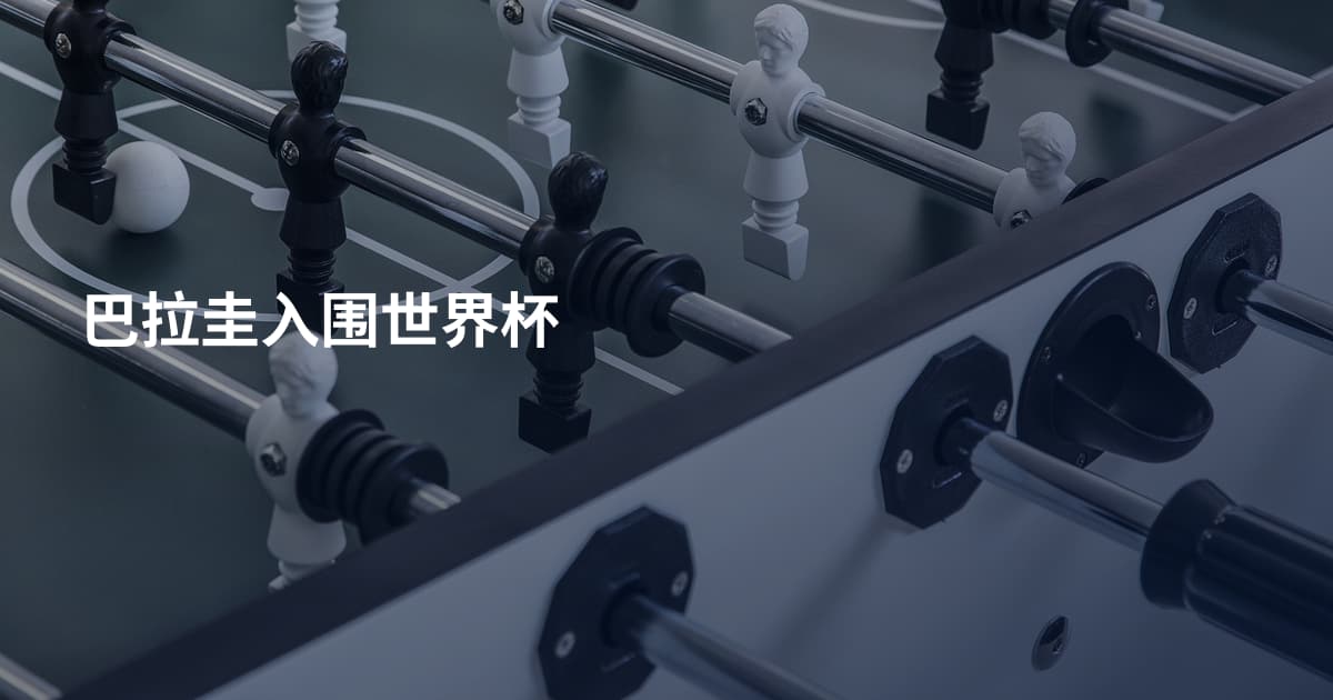 巴拉圭入围世界杯