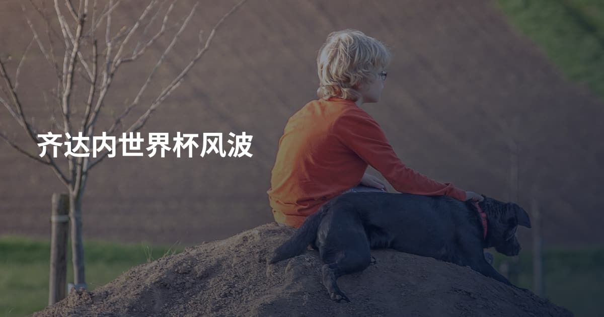 齐达内世界杯风波