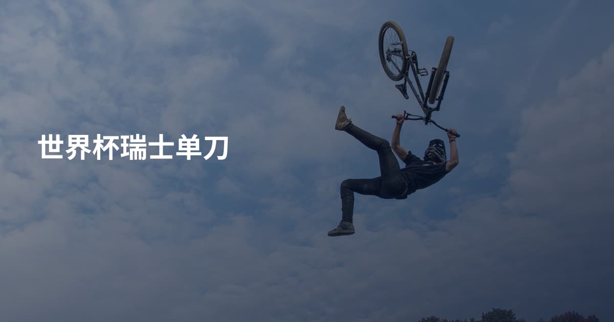 世界杯瑞士单刀