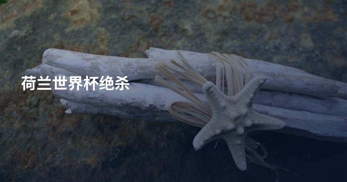 荷兰世界杯绝杀