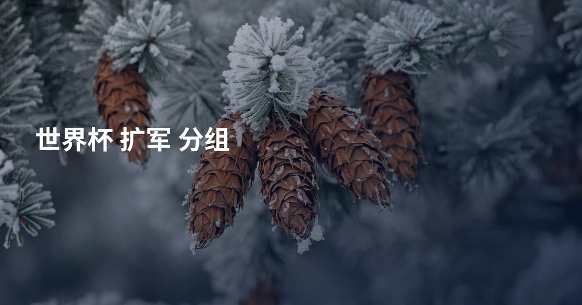 世界杯 扩军 分组