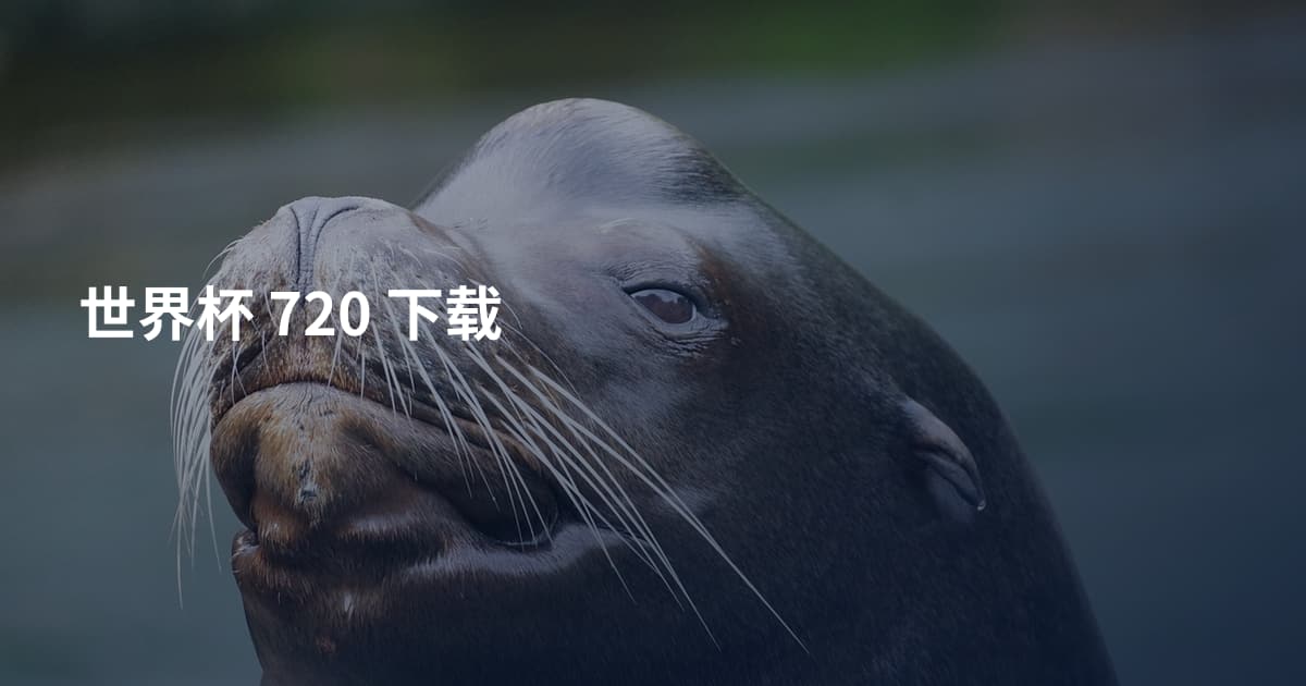 世界杯 720 下载