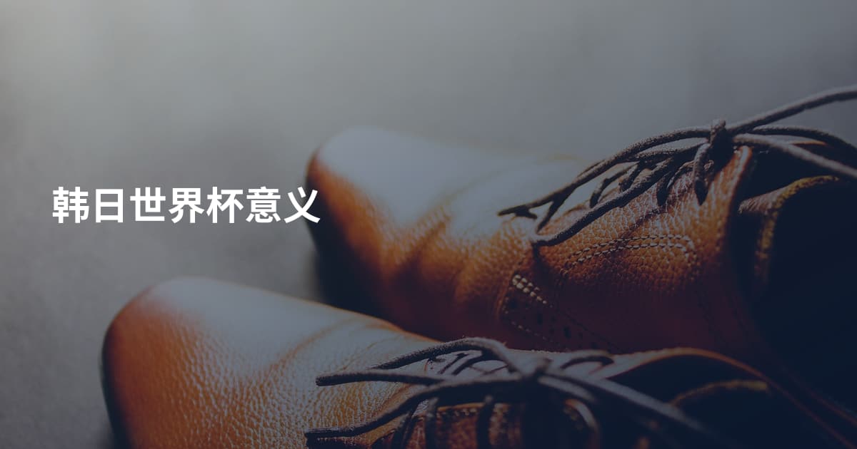 韩日世界杯意义