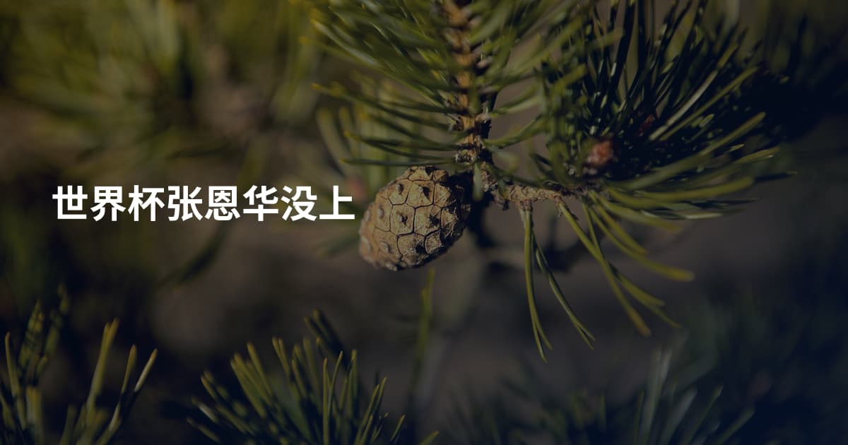 世界杯张恩华没上