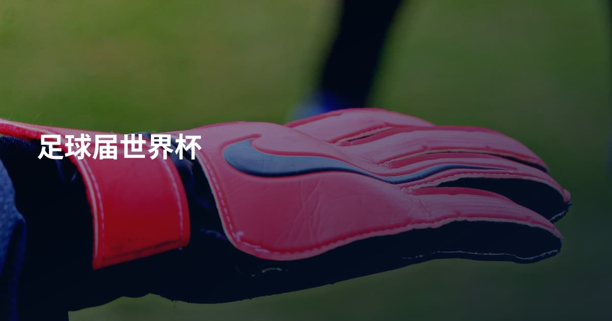 足球届世界杯