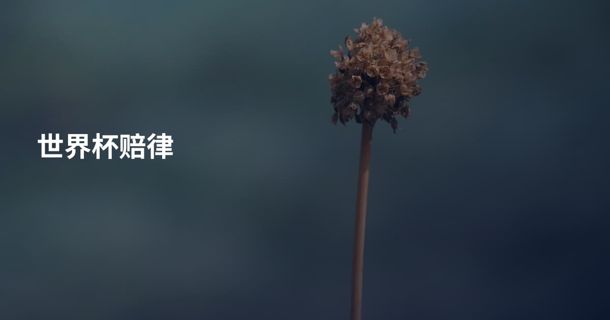 世界杯赔律