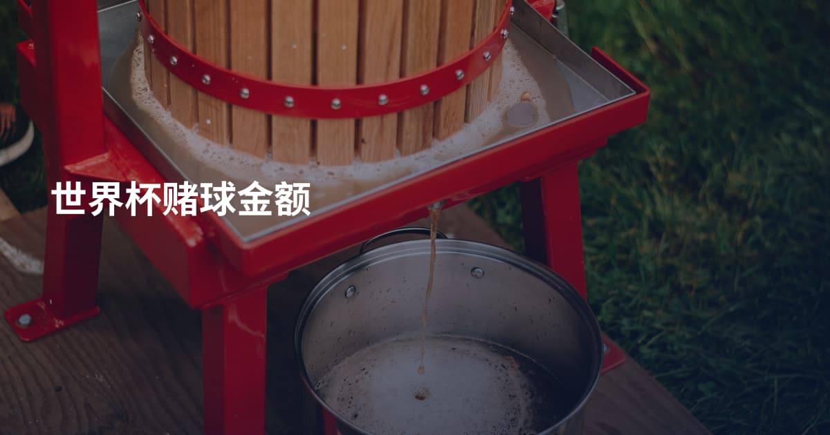 世界杯赌球金额