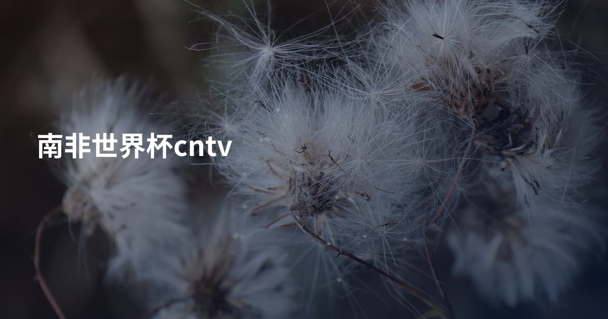 南非世界杯cntv