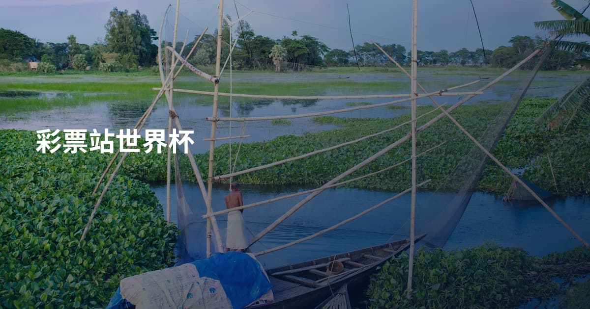 彩票站世界杯