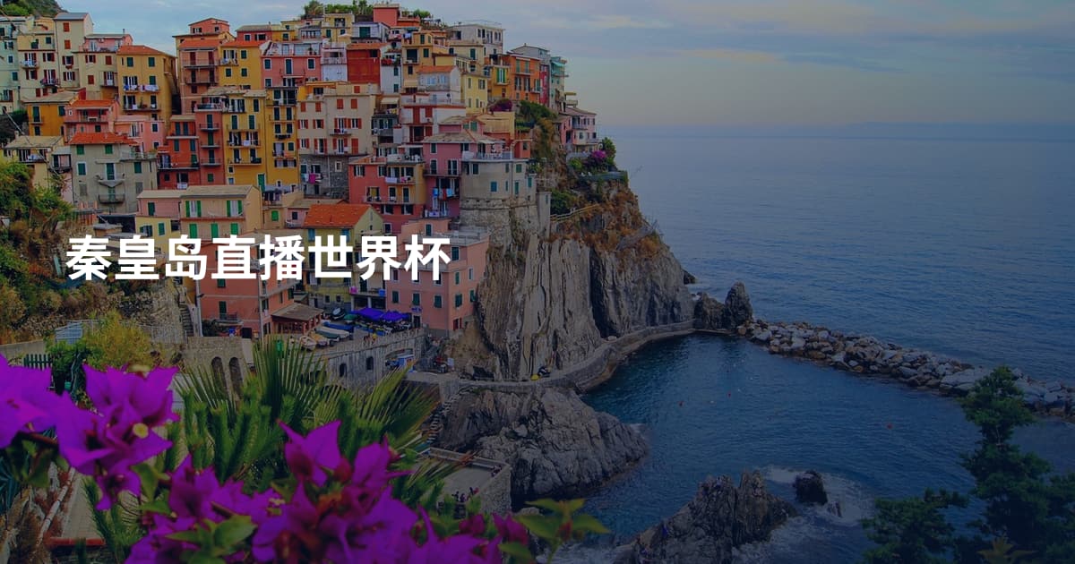 秦皇岛直播世界杯