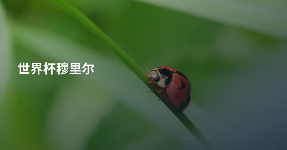 世界杯穆里尔