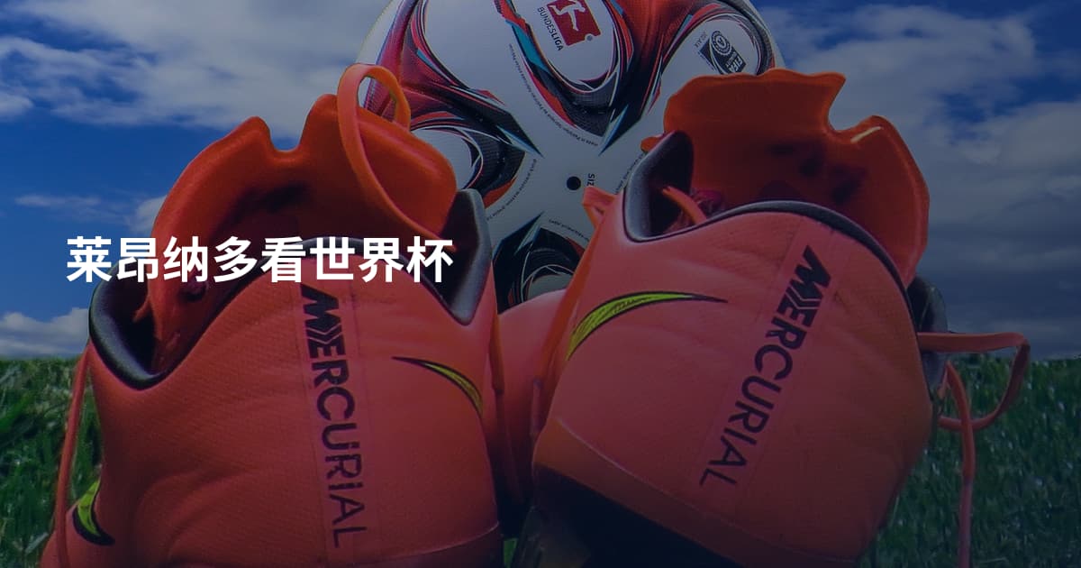 莱昂纳多看世界杯