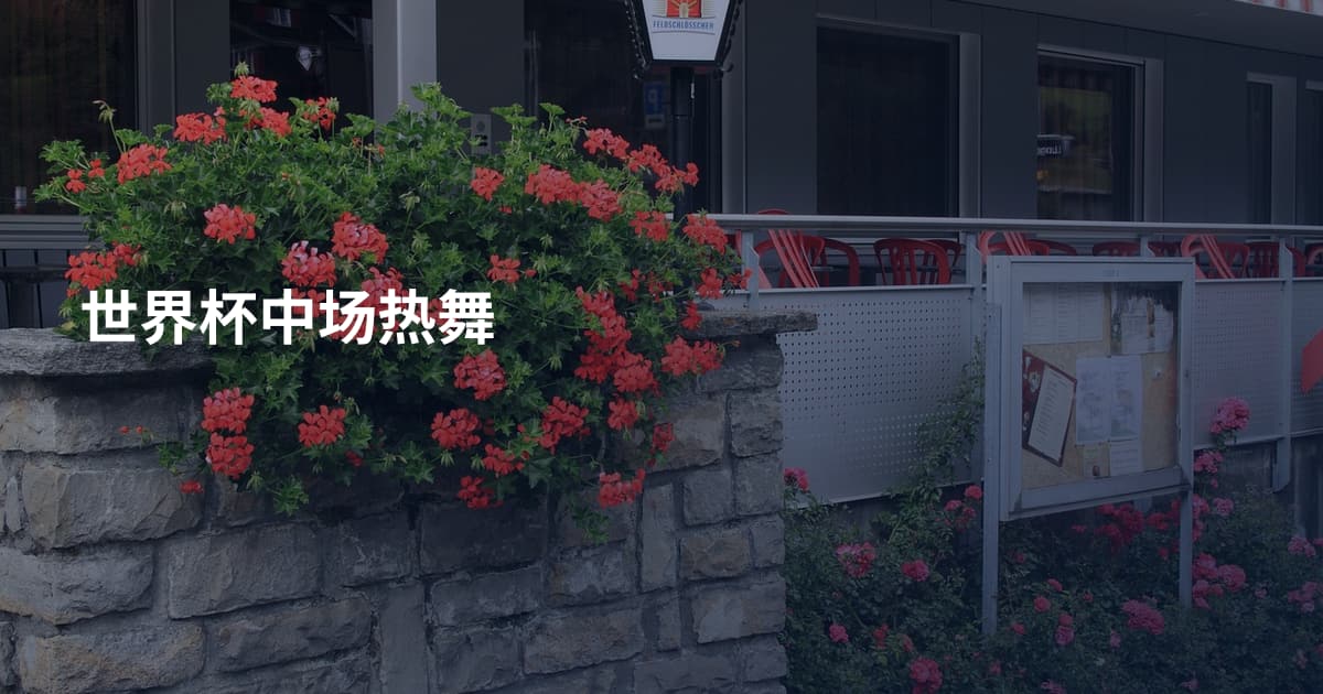 世界杯中场热舞