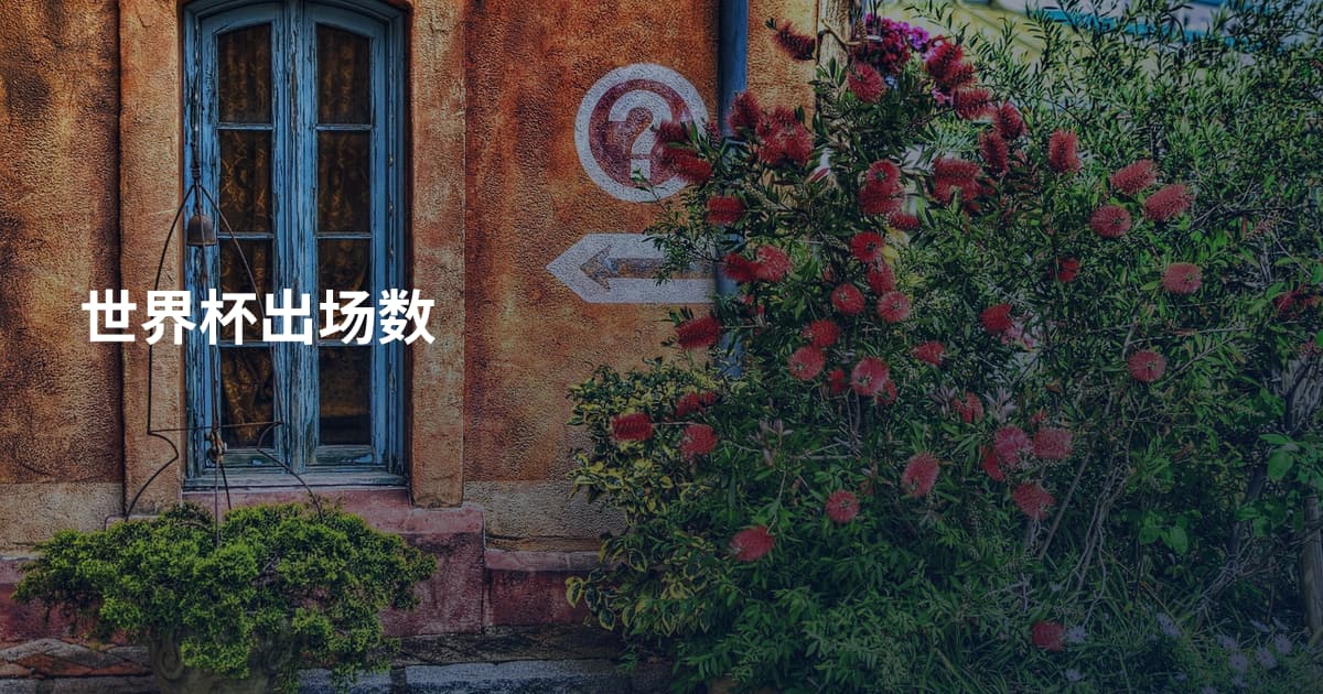 世界杯出场数