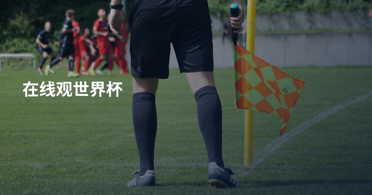 在线观世界杯