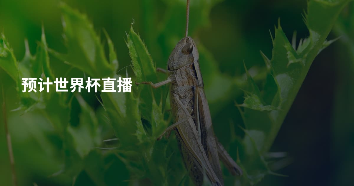 预计世界杯直播